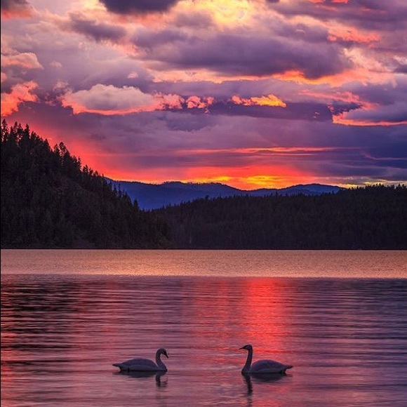 Meet your Posher, Michelle - Picture 1 of 1